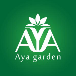 Aya garden